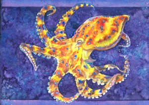 Aussie Octopus