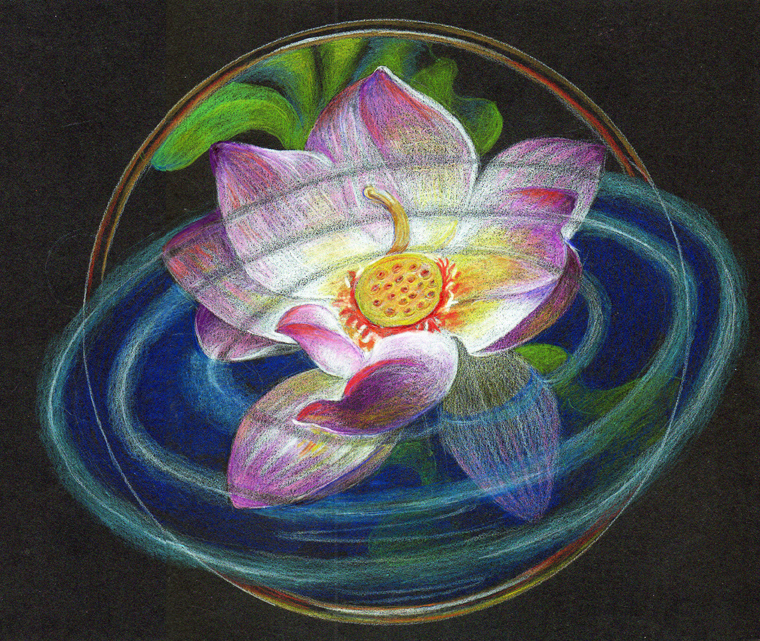 Vibrations of the Lotus