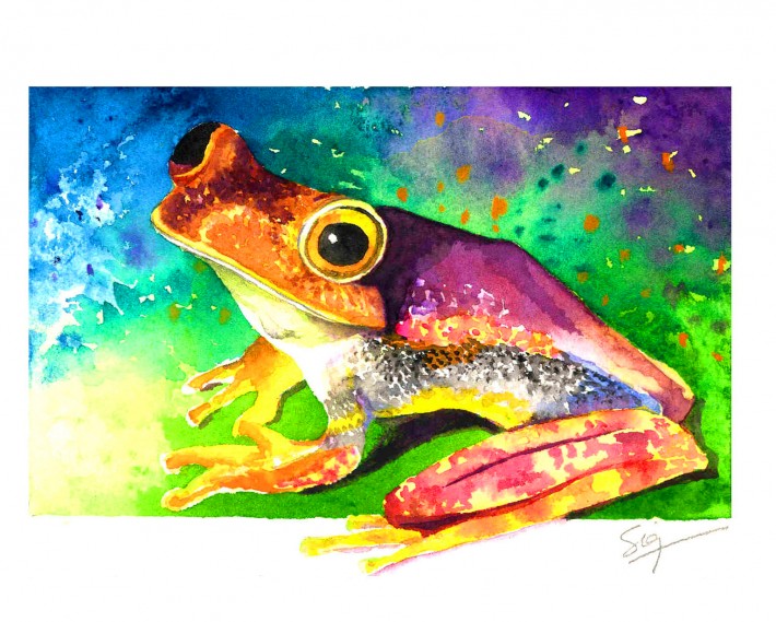 Sigrid Tidmore - Boan Frog